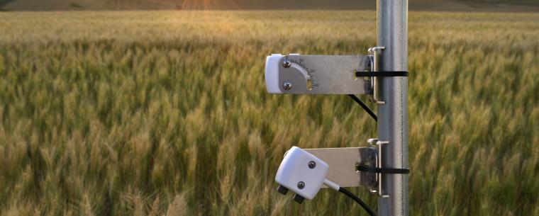 Continuously monitor plant, plot, or canopy spectral vegetation indices with the new Spectral Reflectance Sensor (SRS)
